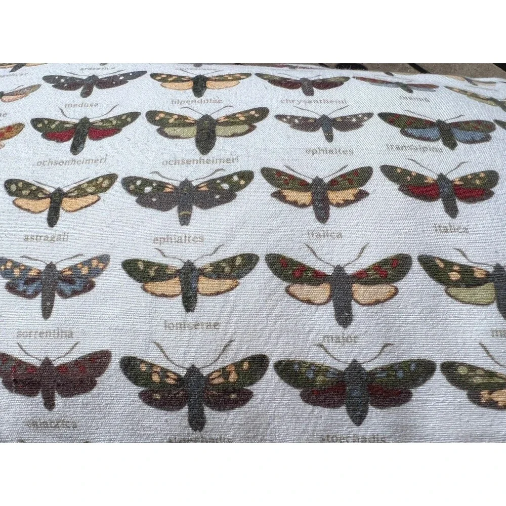 Pottery Barn Dragonfly/moth Lumbar Decorative Pillow 16 x 26